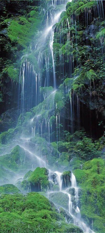 疯狂热气球大冒险